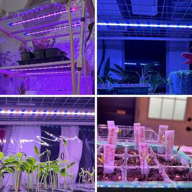 Four-Strip LED Grow Light Versatile & Multi-Use , Perfect for Plant Shelves, Greenhouses, Balconies, Offices, and Under Cabinets.